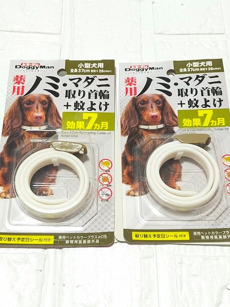 ドギーマン 薬用ノミマダニ取り首輪+蚊よけ 小型犬用 2個セット