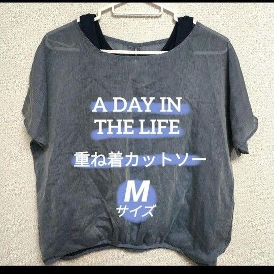 A DAY IN THE LIFE★重ね着風半袖カットソー★M