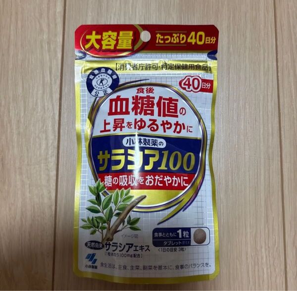 小林製薬 サラシア100 40日分 120粒 2027/2 賞味期限