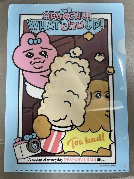 おぱんちゅうさぎ 可哀想に! クリアファイル