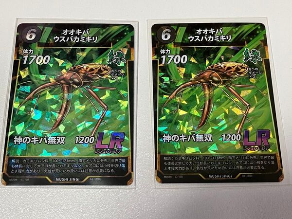 蟲神器 LR オオキバウスバカミキリ 2枚セット