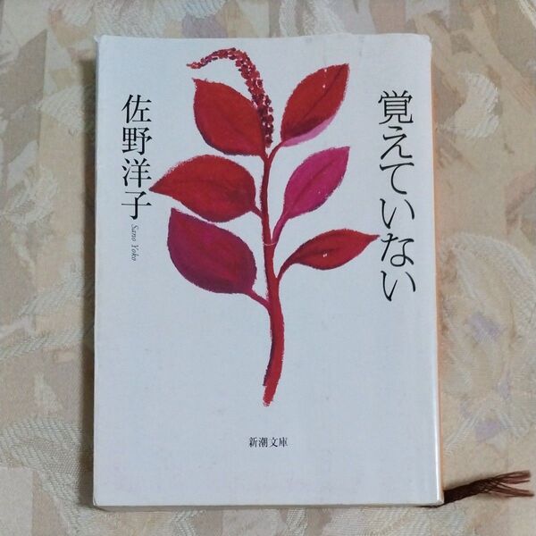 【まとめ買い値引きあり】覚えていない (新潮文庫 さ-30-4) 佐野洋子/著