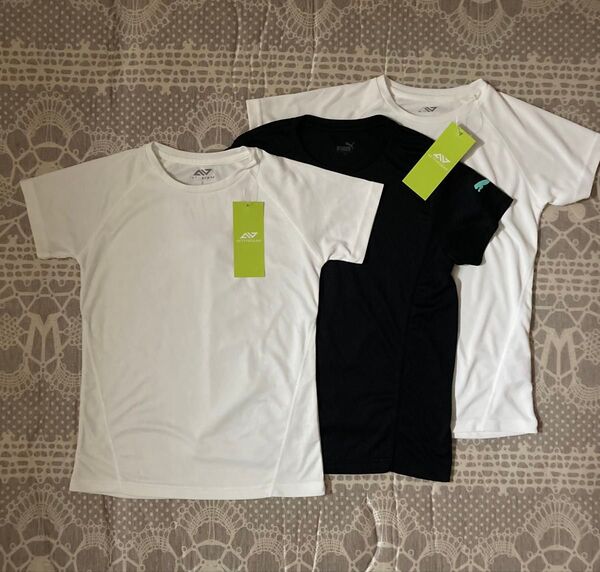 半袖Tシャツ PUMA プーマ ドライTシャツ 黒Tシャツ 半袖 ランニングTシャツ 白Tシャツ ドライホワイトTシャツ Tシャツ