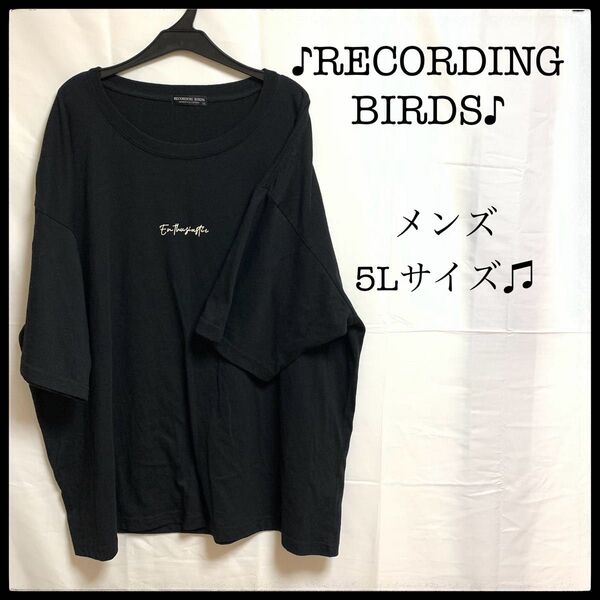 RECORDING BIRDS メンズ Tシャツ 5L 黒 ブラック 半袖 カットソー ホワイト ワイド