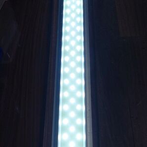 ADA LEDライト 60cm 2基(1基は8灯付かないためオマケです)