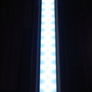 ADA LEDライト 45cm 1基