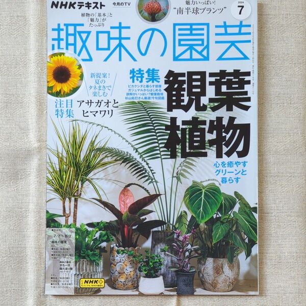NHK 趣味の園芸 2024年7月号 (NHK出版)