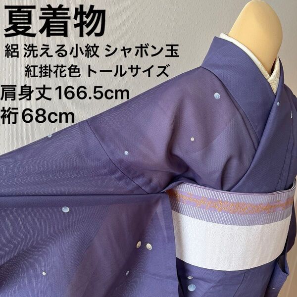夏着物 絽 洗える小紋 シャボン玉 水玉 紅掛花色 L寸 トールサイズ 美品
