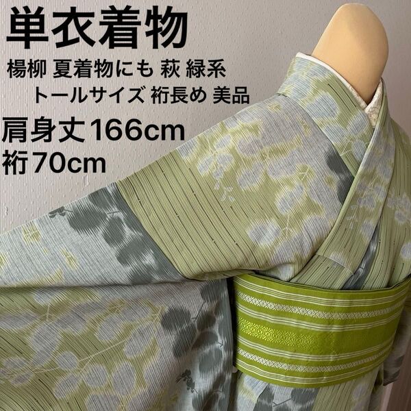 単衣着物 ポリエステル100% 楊柳 夏着物にも 緑系 トールサイズ 裄長め 美品