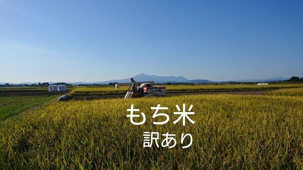 宮崎産 もち米 2kg ヒヨクモチ 訳あり