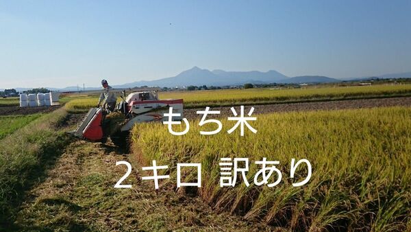 宮崎産 もち米 2kg ヒヨクモチ 訳あり