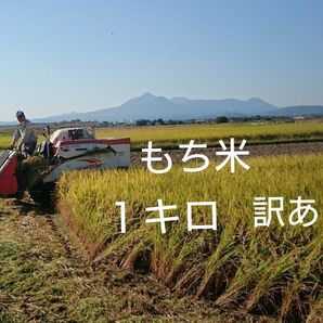 もち米 1キロ 宮崎産 ヒヨクモチ 訳あり