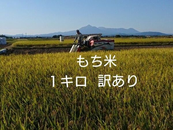 もち米 1キロ 宮崎産 ヒヨクモチ 訳あり