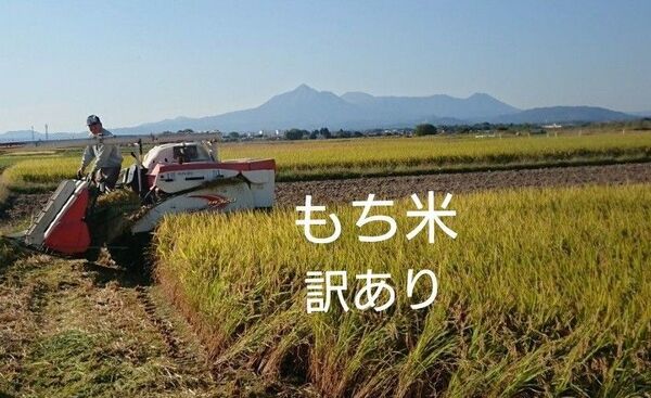 宮崎産 もち米 1kg ヒヨクモチ 訳あり