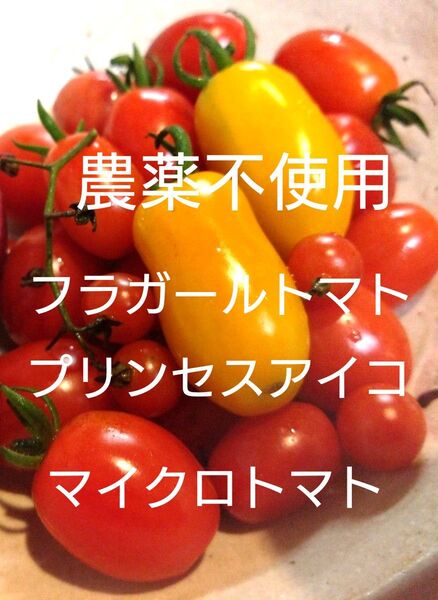 農薬不使用 フラガールトマト プリンセスアイコ マイクロトマト マイクロキュウリ 赤・緑バジル 野菜詰め合わせ ミニトマト