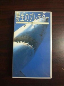 【VHS】 野生のプレデター 海の殺戮マシン 日本語吹替版