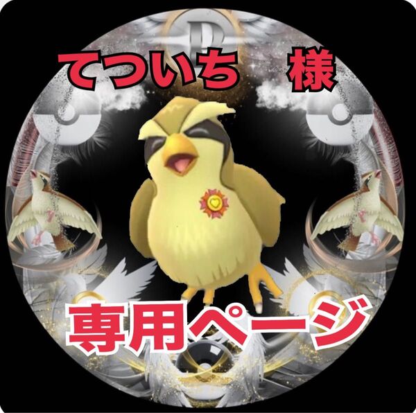 天然石 パワーストーン ブレスレット デザインブレスレット 小鳥 ポッポ モルダバイト ギベオン リビアングラス アラシャン瑪瑙