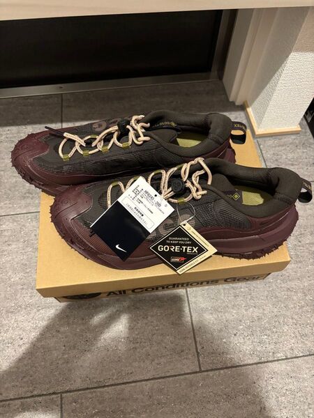 新品 ACG マウンテンフライ 2 ロー ACG MOUNTAIN FLY 2 LOW GORE-TEX 28.5cm