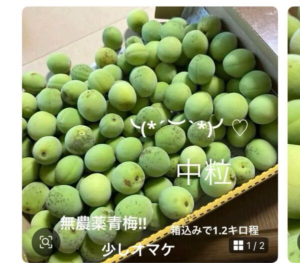 無農薬 青梅 箱込み1.2キロ程 1