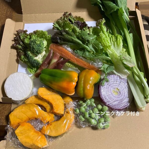 野菜詰め合わせ 1