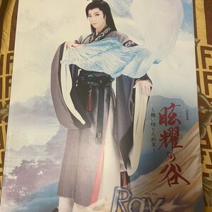 宝塚歌劇団 星組 眩耀の谷 Ray パンフレット