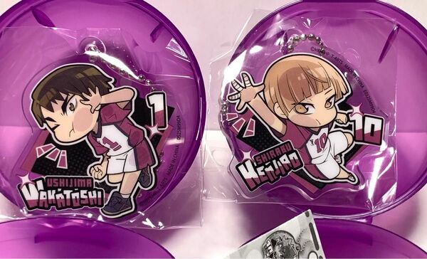 ハイキュー ぴた!でふぉめ アクリルキーホルダー Vol.2 牛島若利 白布賢二郎 白鳥沢 アクキー