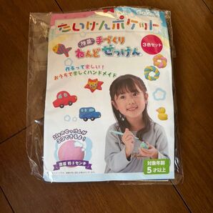 キット 実験 手作りねんどせっけん