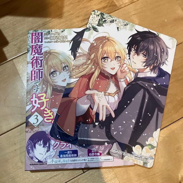 私の婚約者は、根暗で陰気だと言われる闇魔術師です。好き。 3 (角川コミックス・エース) つづき/漫画 瀬尾優梨/