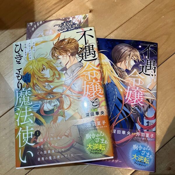 不遇令嬢とひきこもり魔法使い ふたりでスローライフを目指します 1 (フロースコミック) 深田華央/漫画