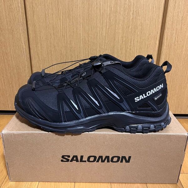 ほぼ新品 salomon XA PRO 3D GORE-TEX