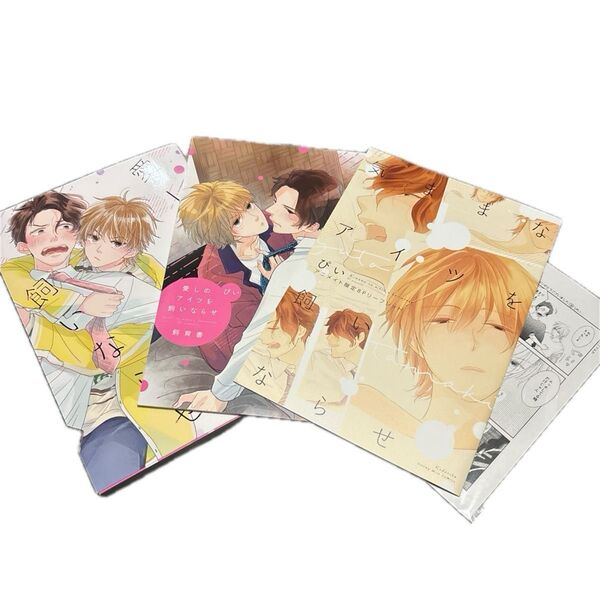 ぴい 愛しのアイツを飼いならせ 小冊子(飼育書) ※特典のみ 気ままなアイツを飼いならせ アニメイト限定8Pリーフレット ペーパー