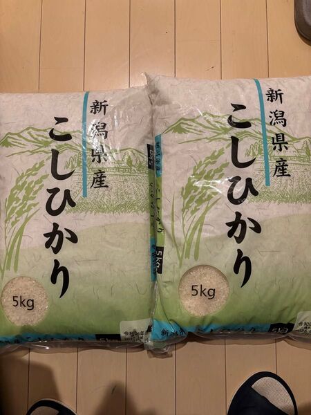 【PayPayゲットください】新潟県産こしひかり 5kg×2袋 令和6年産