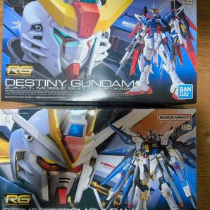 RGストライクフリーダム+RGディスティニー+光の翼2種類