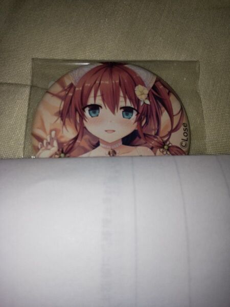 まいてつLastRun!! FANZAオンラインくじ E賞 日々姫1 缶バッジ E-11