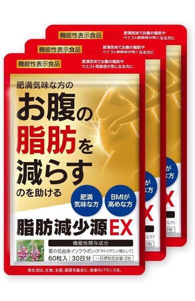 脂肪減少源 EX 60粒入り(30日分)3袋セット 肥満気味な方の 体重 お腹の脂肪 ウエスト周囲径 を減らすのを助ける