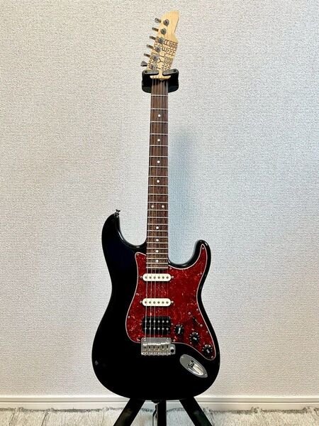 James Tyler Japan The Classic Black【ステンレスフレット交換済み】