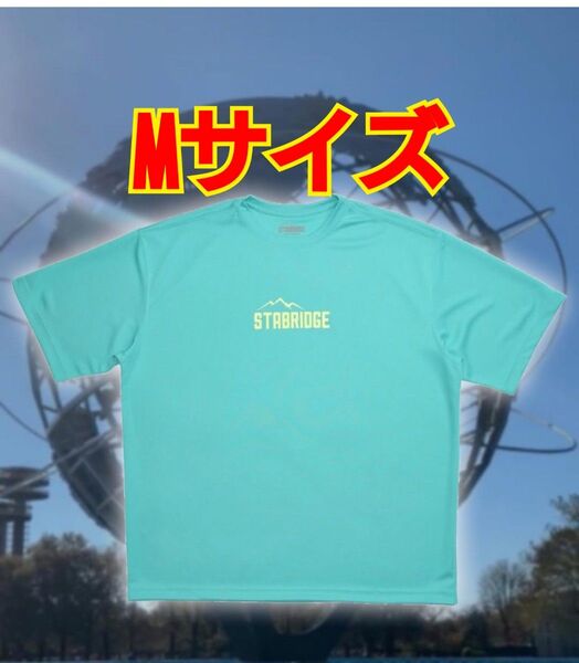 【Mサイズ】新品未使用 STABRIDGE Quick Dry Tee Flushing Meadows スタブリッジ Tシャツ