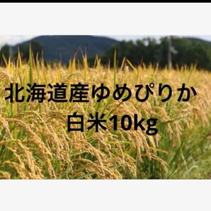 北海道産ゆめぴりか 白米10kg