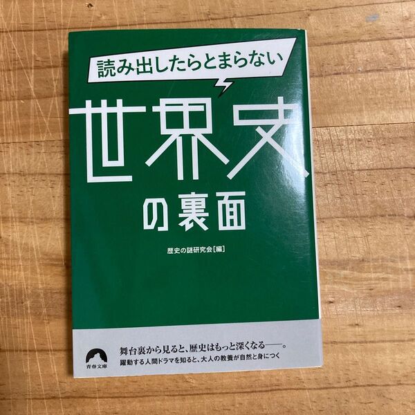 読み出したらとまらない世界史の裏面 (青春文庫 れ-55) 歴史の謎研究会/編