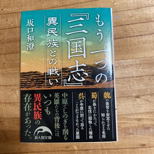 もう一つの『三国志』異民族との戦い (新人物文庫 さ-5-2) 坂口和澄/著