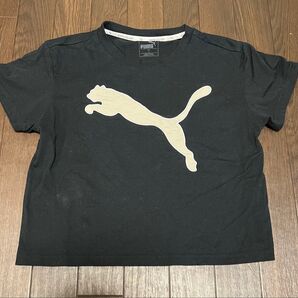 PUMA 半袖短Tシャツ 黒 Sサイズ