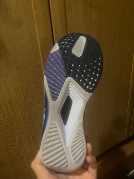 NIKEライバルフライ4 25センチ