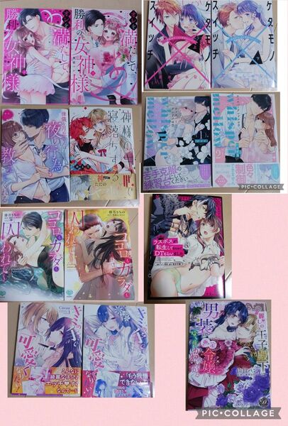 14冊 まとめ売り TL レディース コミックなど 漫画