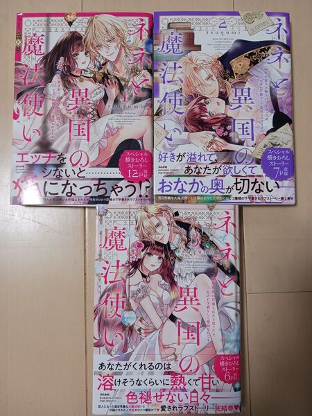 ネネと異国の魔法使い 異世界に召喚さ 1.2.3巻 (ぶんか社コミックス Sgirl Sele) tsugumi