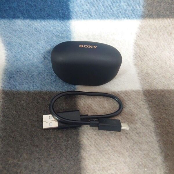 SONY WF-1000XM5 ケース 充電ケーブル