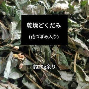 乾燥どくだみ 花つぼみ入り 焙煎 約20g