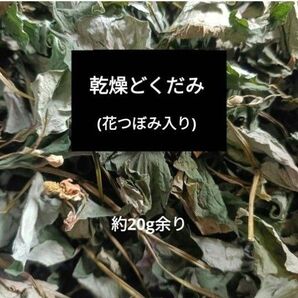 乾燥どくだみ 焙煎 花つぼみ入り 約20g