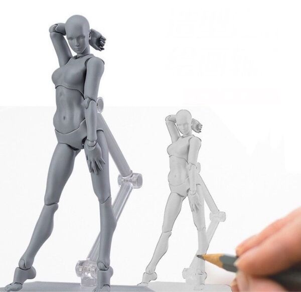 デッサン人形 グレー 女性 デッサン 漫画 絵画 スケッチ 参考 関節 可動 素 モデル アート用品 プラモデル 女体 灰色 箱付