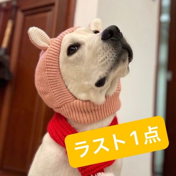 わんちゃん耳付き ニット帽 ピンク 防寒 中型犬 大型犬 伸縮性 帽子 被り物 犬