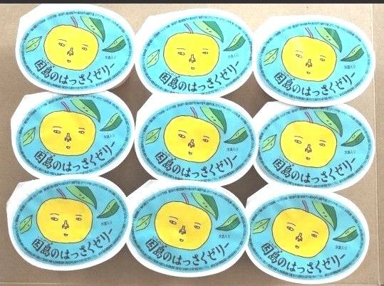 ◆ 因島 はっさくゼリー9個入 ◆値引き交渉不可●即日発送OK